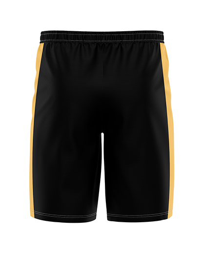 SOFTBALL Mesh Shorts