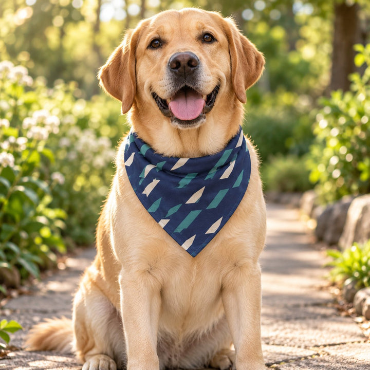 Golden Labrador wearing a custom navy pattern dog bandana in a sunny park